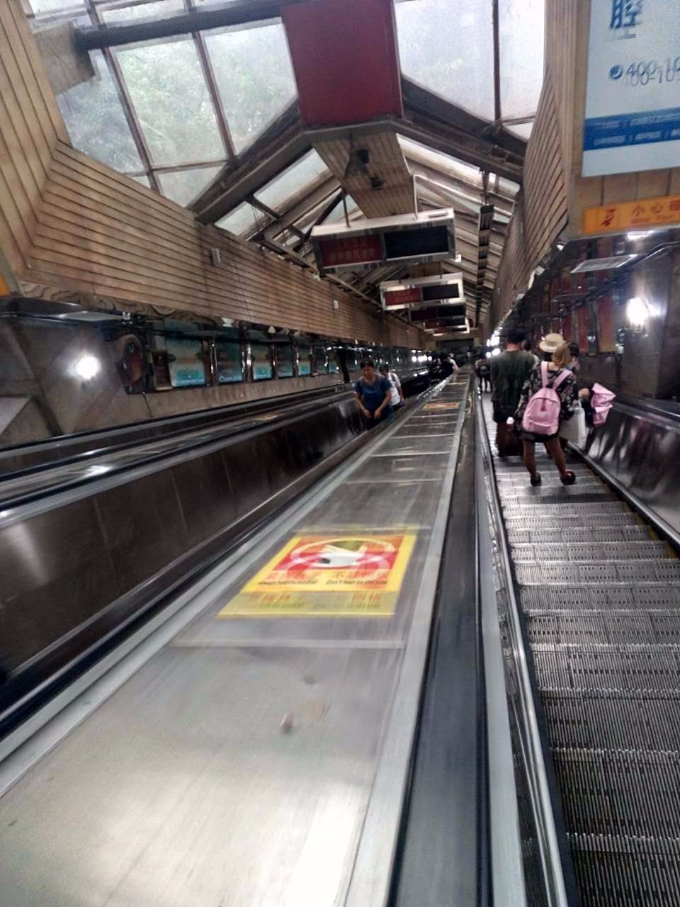 户外小白成长记,户外小白进阶课