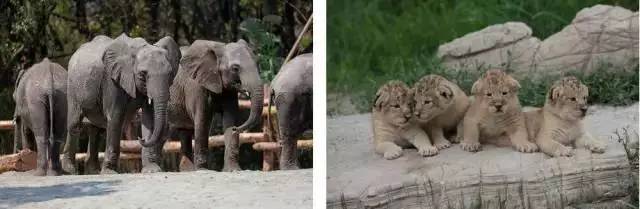 好消息！9月份去上海这64个热门景区统统半价！