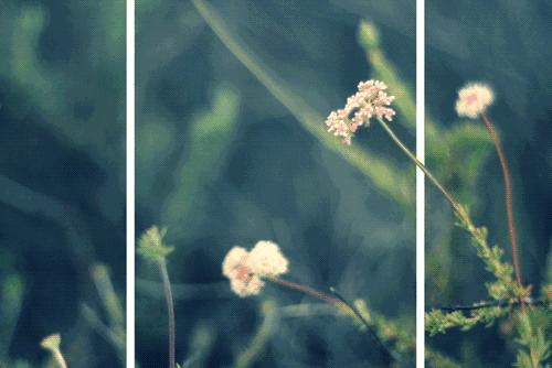 diy鎵嬪伐鍒朵綔铚＄墖,diy棣欐皼铚＄儧鏁欑▼