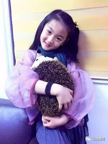 居然是他们?淮南市首届网络宣传代言人名单公布