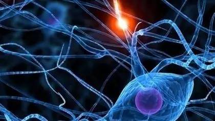 免疫疗法最新突破,免疫疗法重大突破