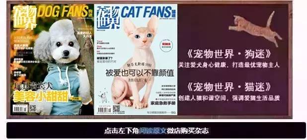 救命啊!主子溺水、触电、中毒了怎么办?!丨强档