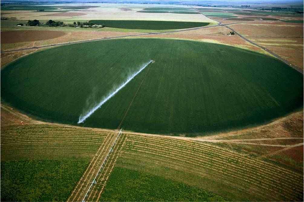 圣牧有机奶治沙,圣牧高科奶业公司