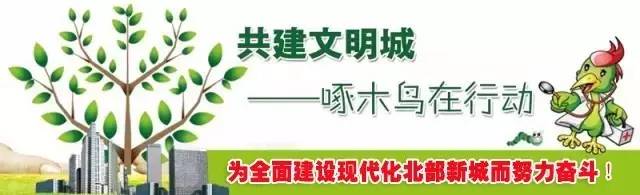 啄木鸟行动消灭错别字,朝阳市建平县啄木鸟行动