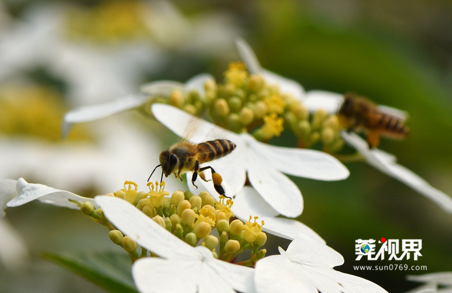 山水风景都很美,山水景色不输九寨沟