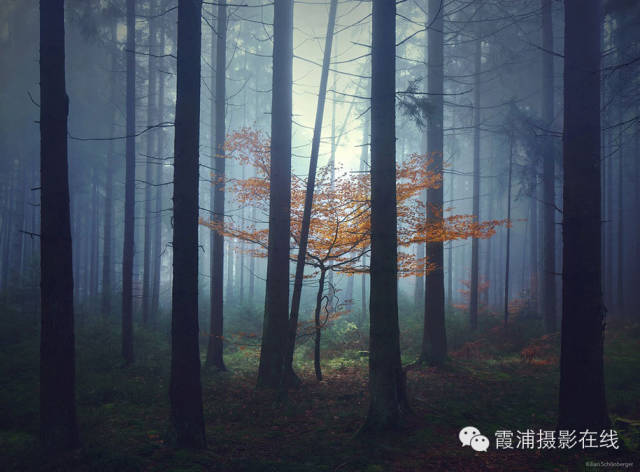 格林童话微缩景观,格林童话拍照