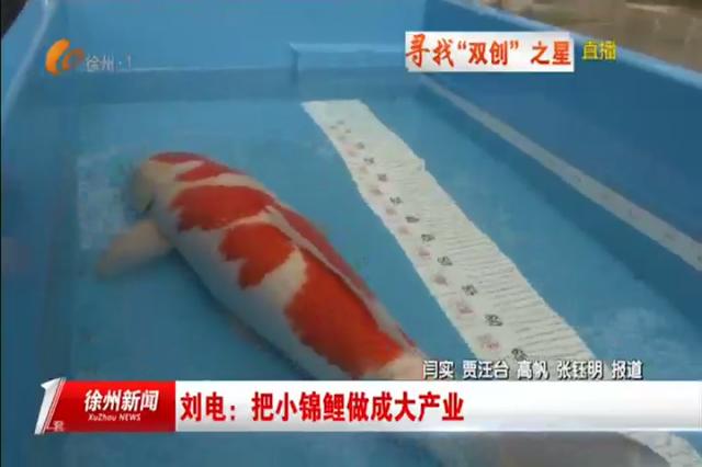 刘电：把小锦鲤做成大产业