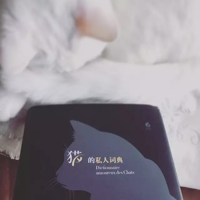 豆瓣日记:世界是属于猫的?10本猫书里的猫咪故事|精选書单