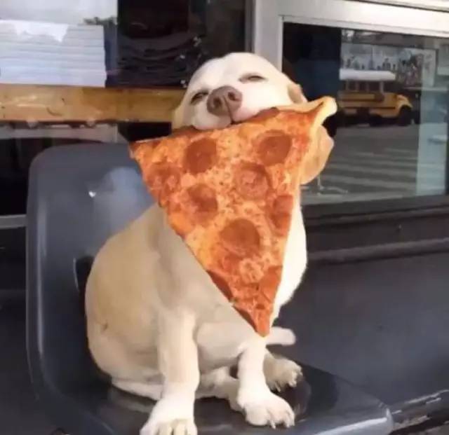 南北方差异的小总结,南北方十大差异