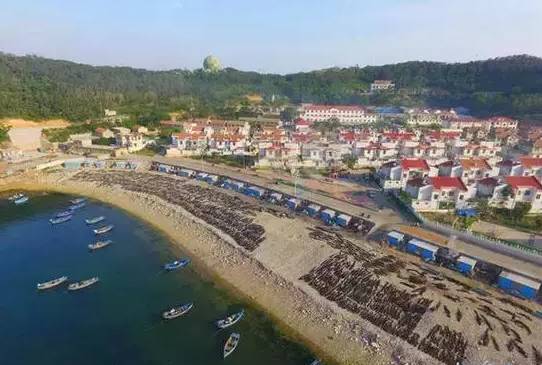 原创｜烟台一年最嗨的日子来了！即将开海，这些图却火了