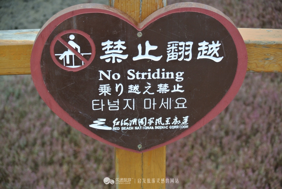 红海滩的特别之处,红海滩商标设计