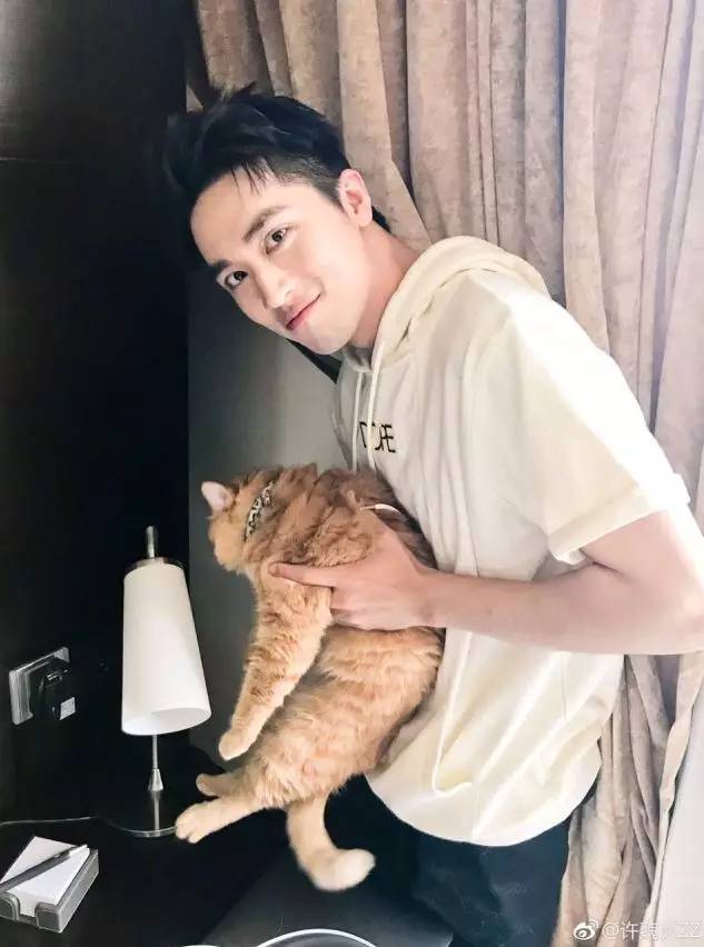 「福利」这周末有一场和宠物的约会等你来，小布送票送助攻→