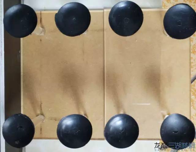 从零开始原生缸,从零开始造景缸