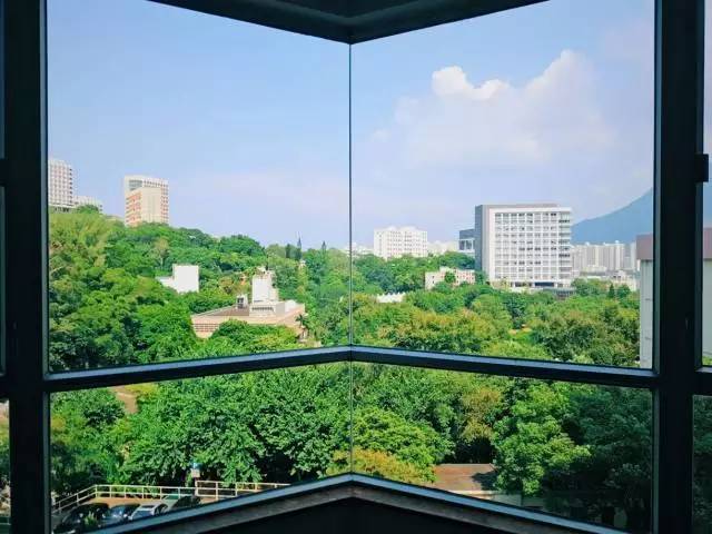 记录我在香港的每一天,在香港留学的真实感受