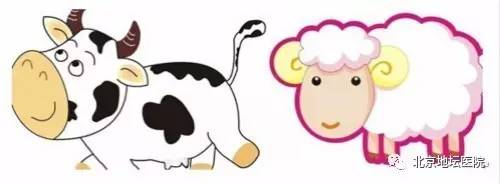 改善医疗服务亮点案例介绍,专病专症门诊清单