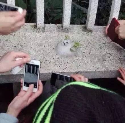 南北方差异的小总结,南北方十大差异