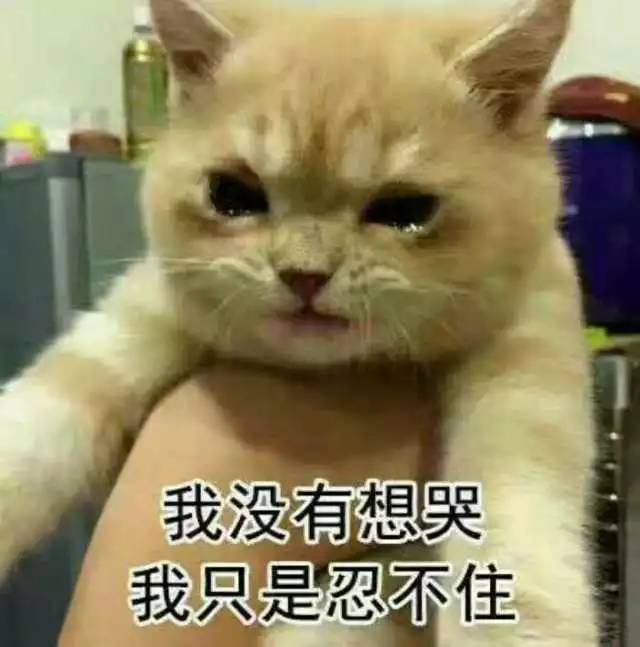 南北方差异的小总结,南北方十大差异