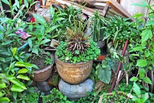 宜昌很有特色的地方,宜昌最具魅力的地方