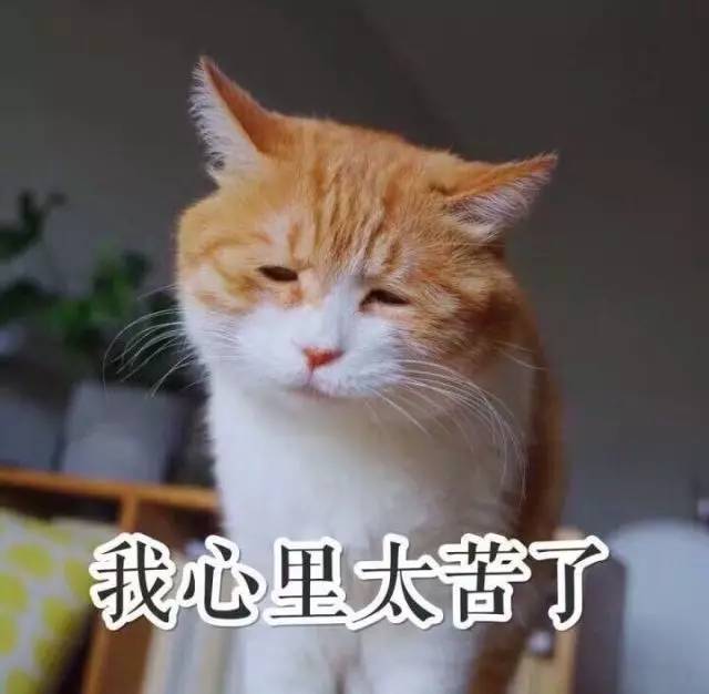 南北方差异的小总结,南北方十大差异