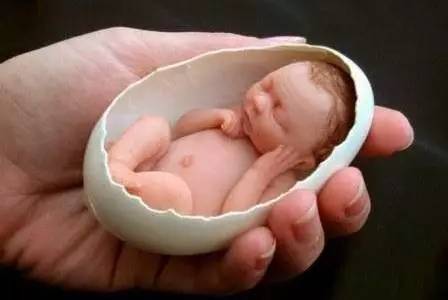 哈尔滨今天有什么免费的东西,哈尔滨哪些免费的地方