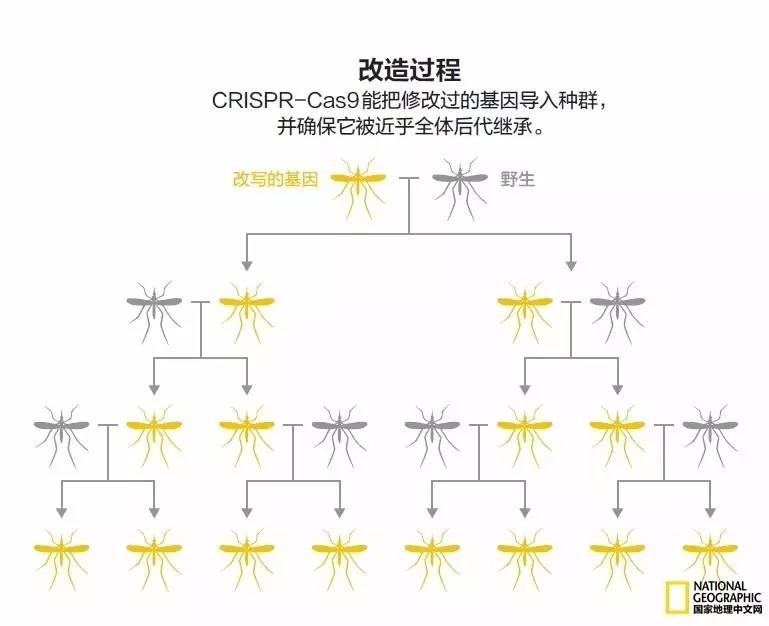 人类发明的新技术,人类新科技技术