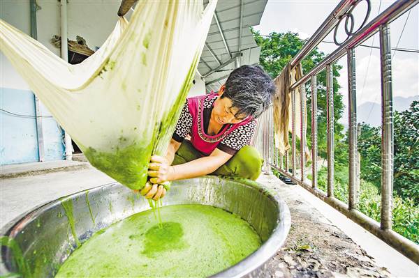 田坝村的村民要发“树叶财”就差一个手工作坊