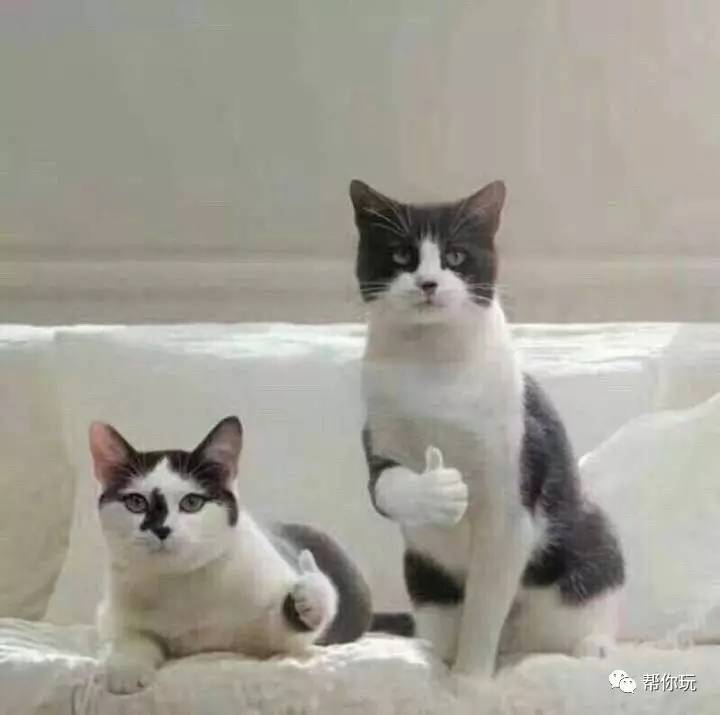 ios节奏大师自制版怎么弄,ios节奏大师类型的游戏