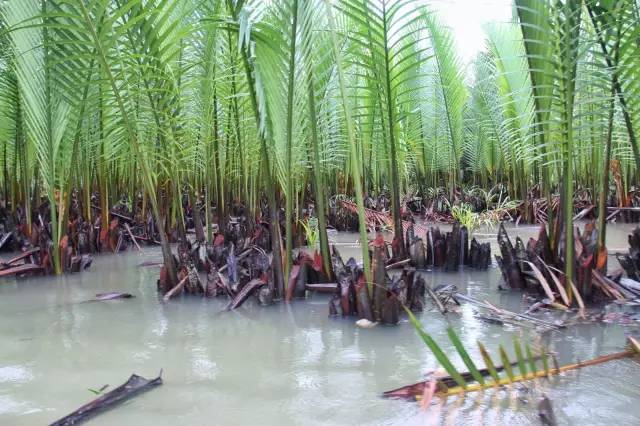 岘港｜越式生活还是法式浪漫？Freestyle你说了算！