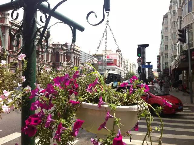 哈尔滨今天有什么免费的东西,哈尔滨哪些免费的地方