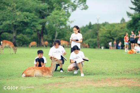 提供哪些艺术类培训项目,color培训