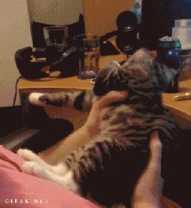 当你亲女生的时候她一直躲着,女生亲你的时候嘟嘴