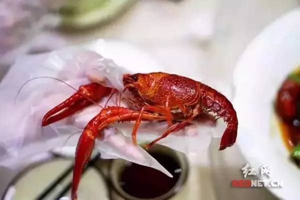 长沙吃虾网红店在哪里,长沙河西哪家油爆虾最好吃