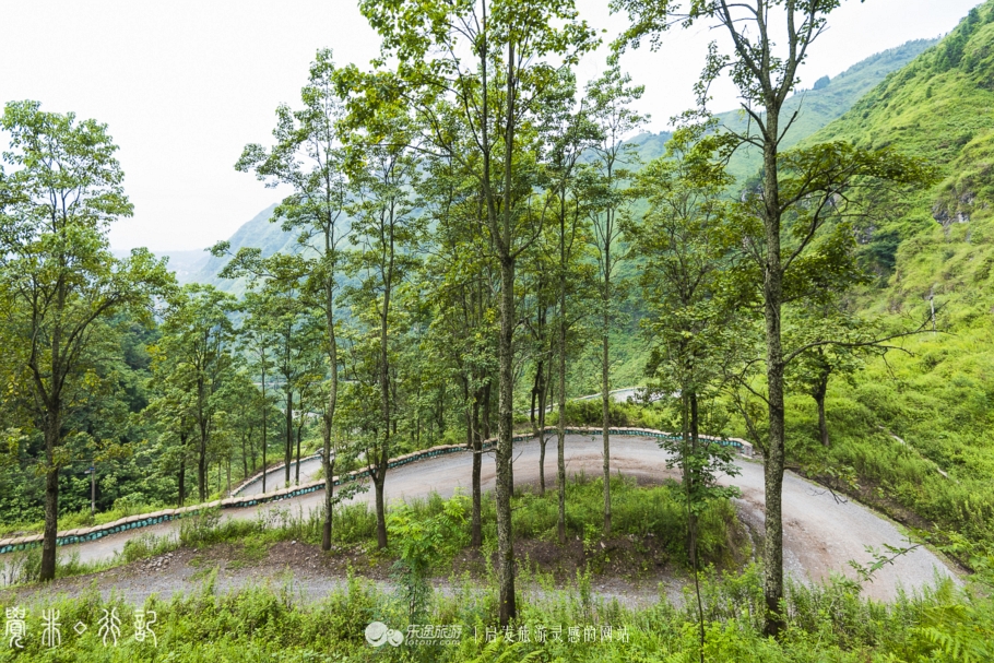 二十四道拐布谷鸟完整版,关山二十四道拐