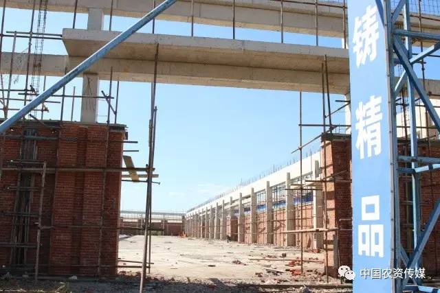 中盐安徽红四方肥业股份有限公司,中盐安徽红四方有机肥