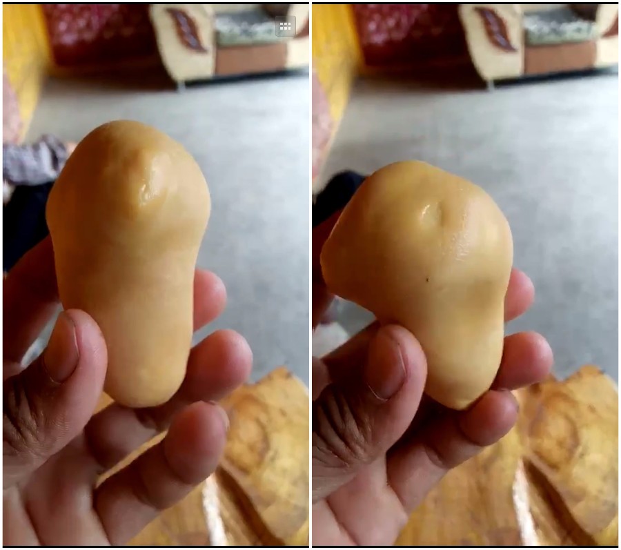 杀鸡后发现疑似鸡宝,杀鸡发现鸡宝