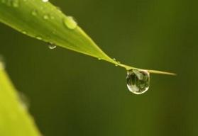 二十四节气白露转秋凉,白露节气落叶知秋凉