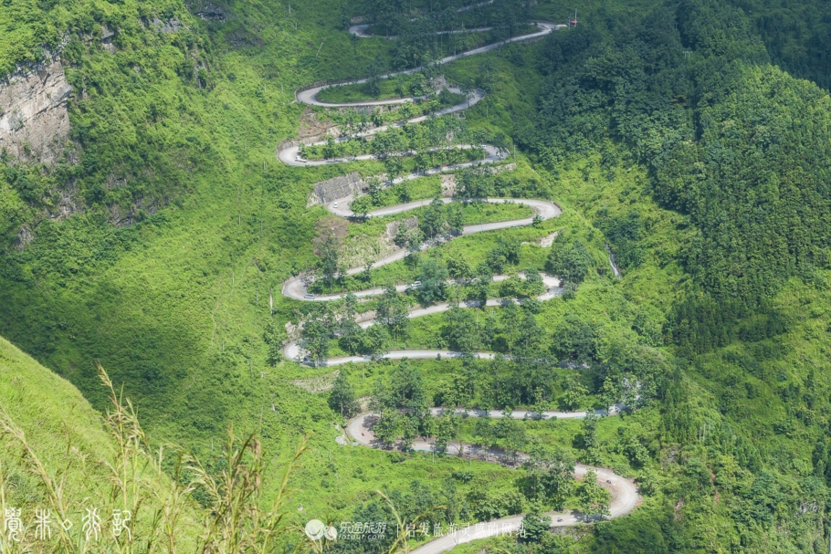 二十四道拐布谷鸟完整版,关山二十四道拐