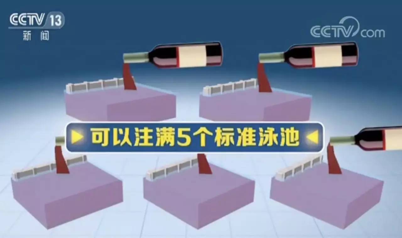 舌尖上的金砖美食,舌尖上的中国解馋