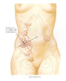 生来就是一个吃货｜浮想联翩解剖学第二弹