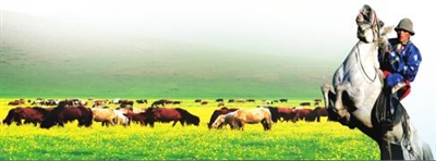 锡林郭勒文化传承中的蒙古马精神,草原蒙古马文化