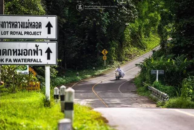 我们相爱吧无尾熊插曲,我们相爱吧无尾熊探班