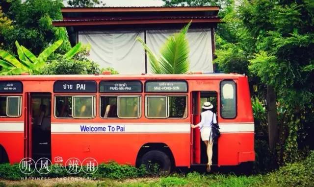 我们相爱吧无尾熊插曲,我们相爱吧无尾熊探班