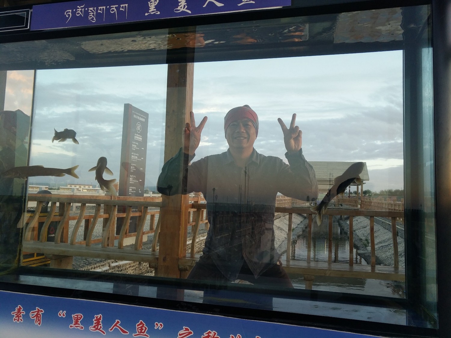 青海湟鱼家园,青海的湟鱼家园