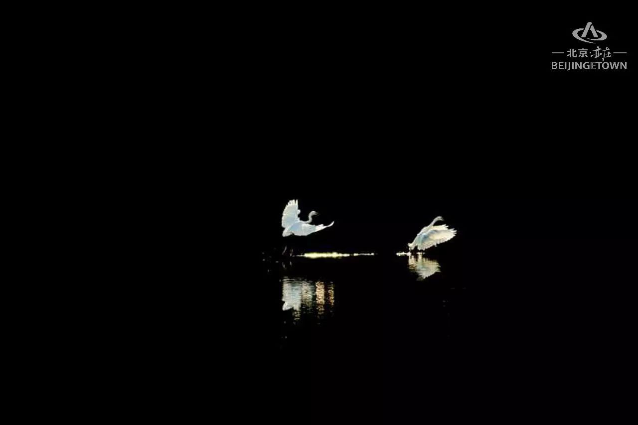 快来领取你的可爱姓氏壁纸,免费领取动态热门主题壁纸