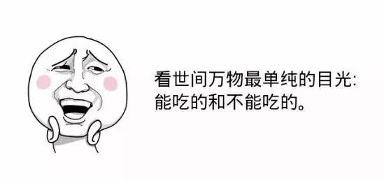 美丽的河口一日游,秋色正好邂逅大美河口