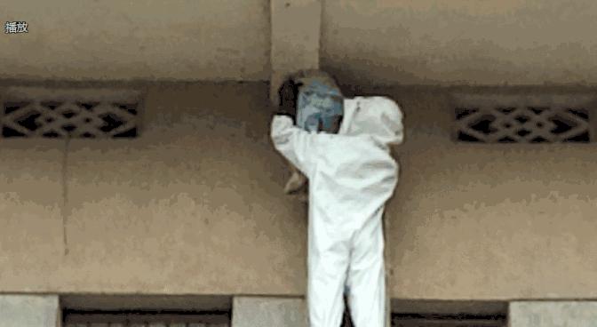 居民屋檐下惊现巨型马蜂窝,居民楼惊现马蜂窝消防队员一窝端