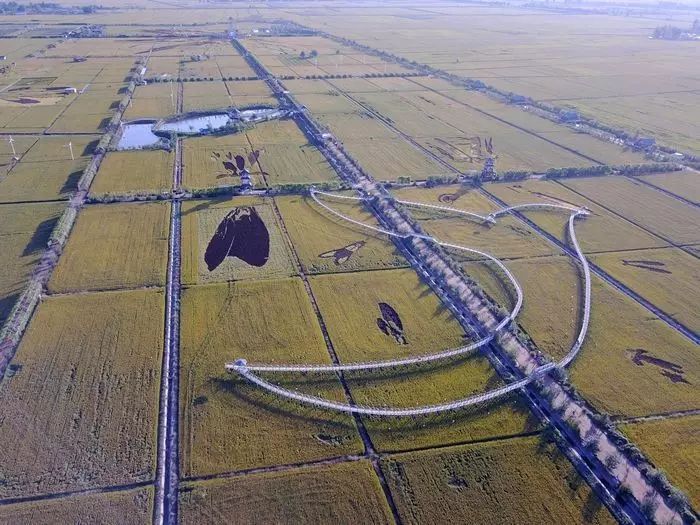 沈阳稻梦空间摄影,沈阳稻梦空间星空