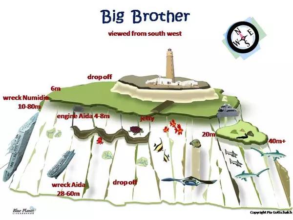 船宿潜水选哪里,从小白到潜水教练需要花多少钱