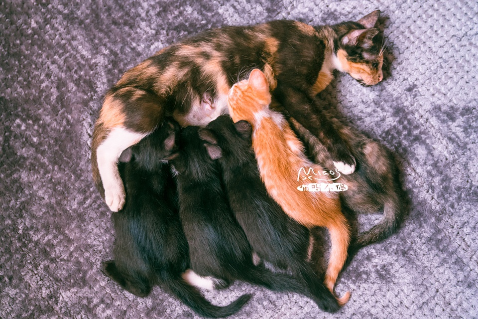 豆瓣日记10月,豆瓣日记