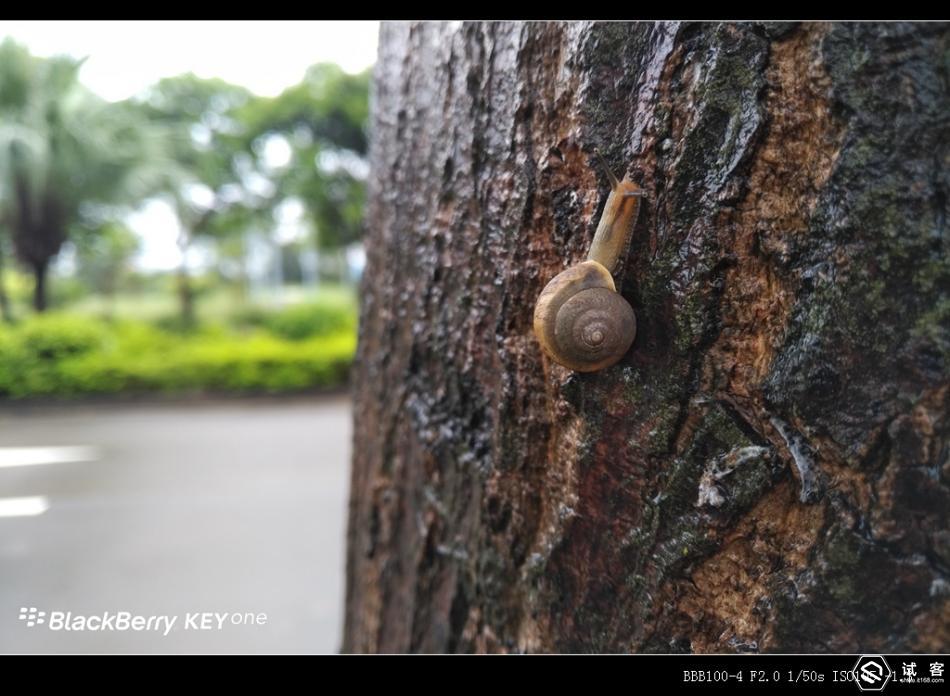 黑莓keyone滑盖,黑莓keyone测评王自如
